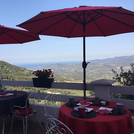 Bed and Breakfast U Riposu Di A Cupulatta Sollacaro Exterior foto