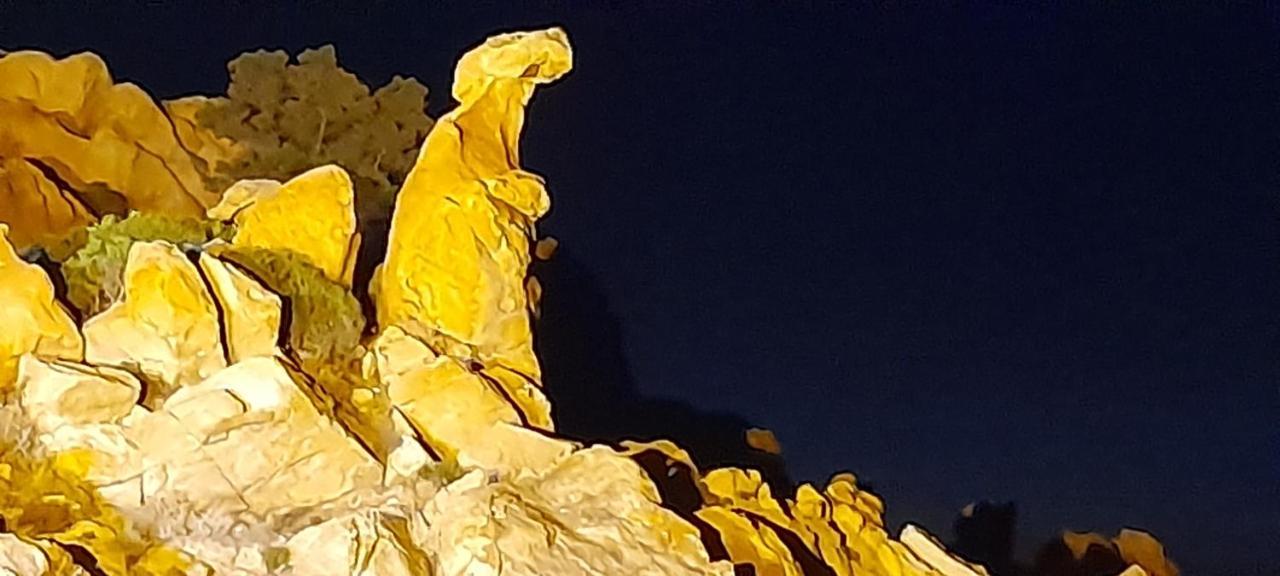 Bed and Breakfast U Riposu Di A Cupulatta Sollacaro Exterior foto